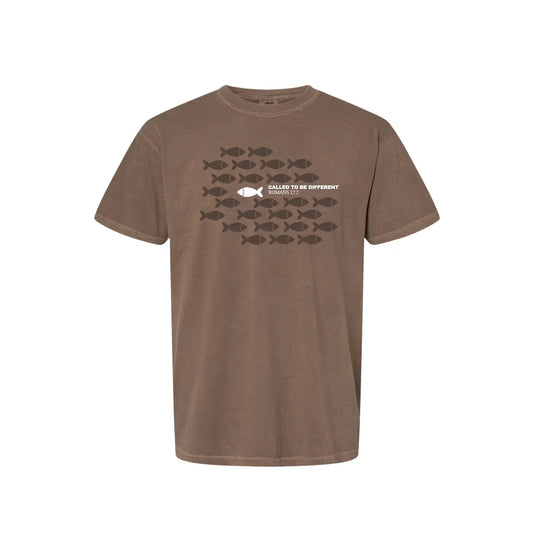 Chapters & Verses Called to be Different