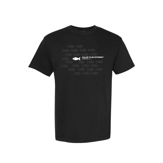 Chapters & Verses Called to be Different