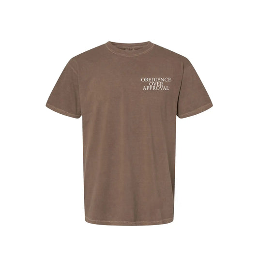 Chapters & Verses Obedience over Approval