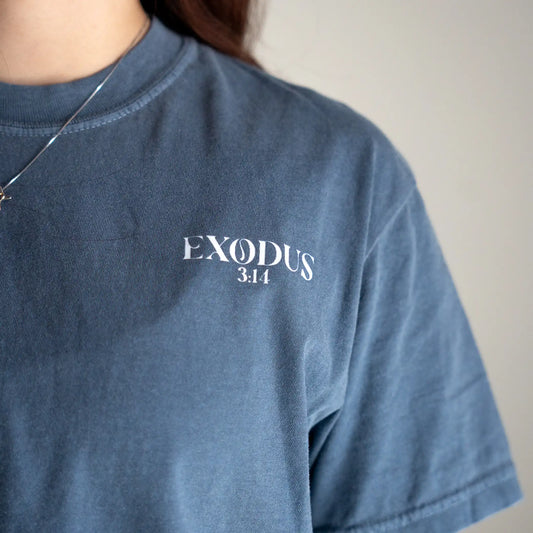 Chapters and Verses Garment Dyed Vintage YHWH