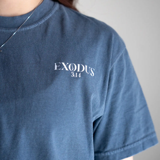 Chapters and Verses Garment Dyed Vintage YHWH